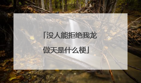 没人能拒绝我龙傲天是什么梗