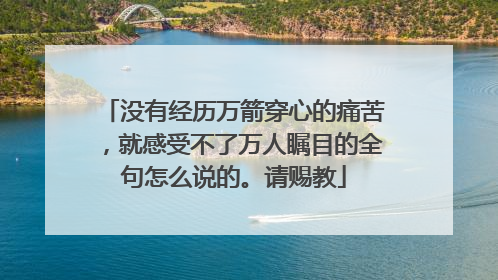 没有经历万箭穿心的痛苦,就感受不了万人瞩目的全句怎么说的。请赐教
