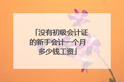 没有初级会计证的新手会计一个月多少钱工资