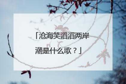 沧海笑滔滔两岸潮是什么歌？