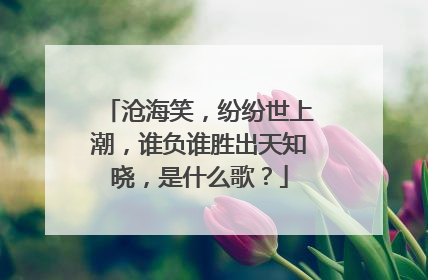 沧海笑，纷纷世上潮，谁负谁胜出天知晓，是什么歌？