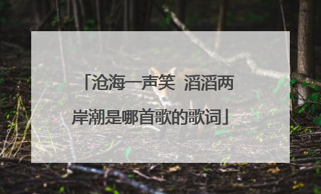 沧海一声笑 滔滔两岸潮是哪首歌的歌词