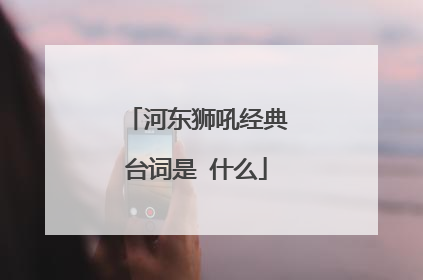 河东狮吼经典台词是 什么