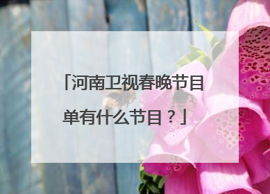 河南卫视春晚节目单有什么节目？
