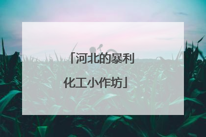 河北的暴利化工小作坊