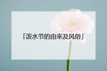 泼水节的由来及风俗