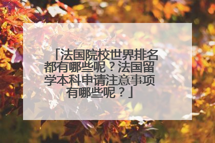 法国院校世界排名都有哪些呢?法国留学本科申请注意事项有哪些呢?