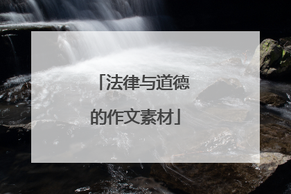 法律与道德的作文素材