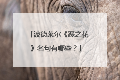 波德莱尔《恶之花》名句有哪些?