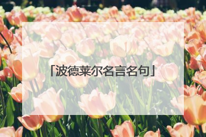 波德莱尔名言名句