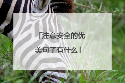 注意安全的优美句子有什么