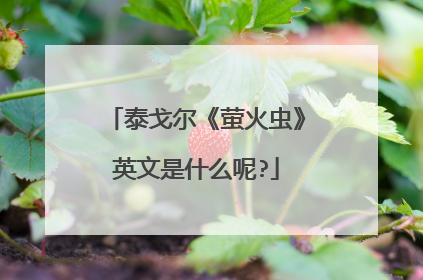 泰戈尔《萤火虫》英文是什么呢?