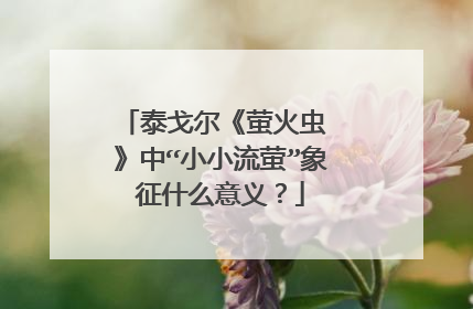 泰戈尔《萤火虫 》中“小小流萤”象征什么意义？