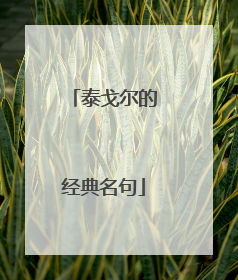 泰戈尔的经典名句