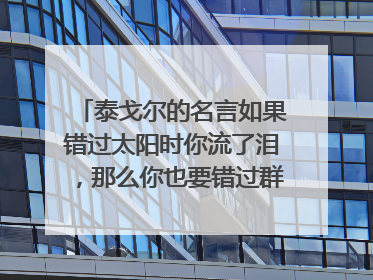 泰戈尔的名言如果错过太阳时你流了泪，那么你也要错过群星了的解释