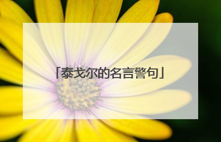 泰戈尔的名言警句