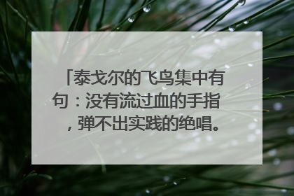 泰戈尔的飞鸟集中有句:没有流过血的手指,弹不出实践的绝唱。”全文是什么
