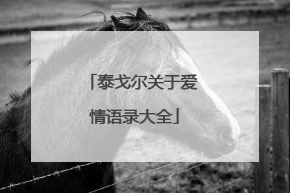 泰戈尔关于爱情语录大全