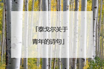 泰戈尔关于青年的诗句