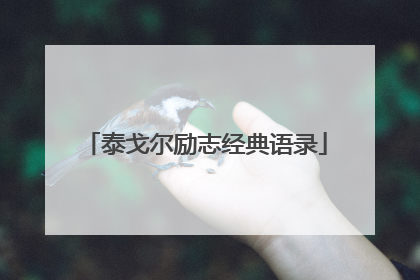 泰戈尔励志经典语录