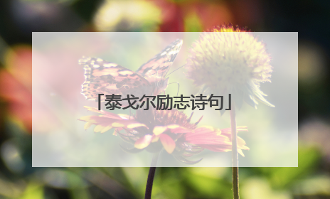 泰戈尔励志诗句