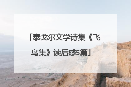 泰戈尔文学诗集《飞鸟集》读后感5篇