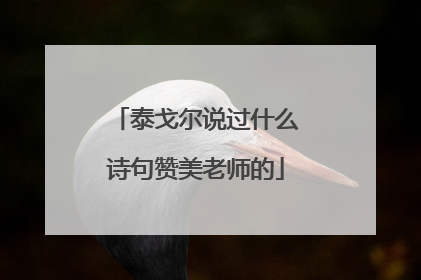 泰戈尔说过什么诗句赞美老师的