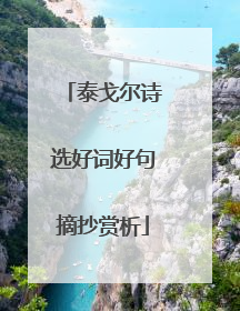 泰戈尔诗选好词好句摘抄赏析