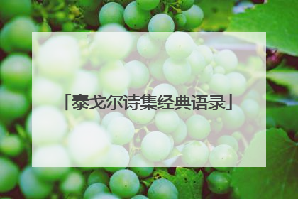 泰戈尔诗集经典语录