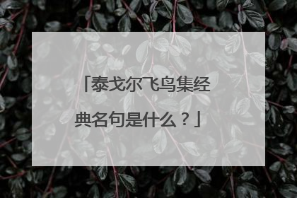 泰戈尔飞鸟集经典名句是什么？