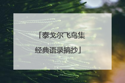 泰戈尔飞鸟集经典语录摘抄