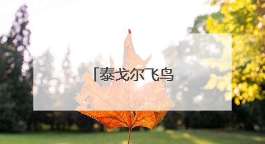 泰戈尔飞鸟集经典语录