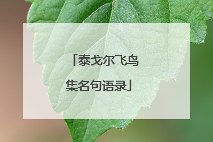 泰戈尔飞鸟集名句语录