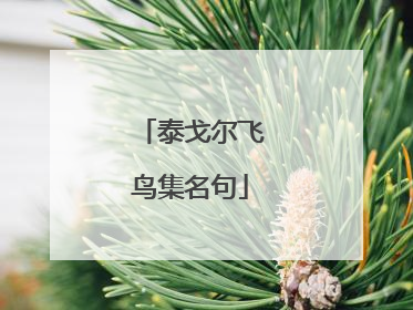 泰戈尔飞鸟集名句