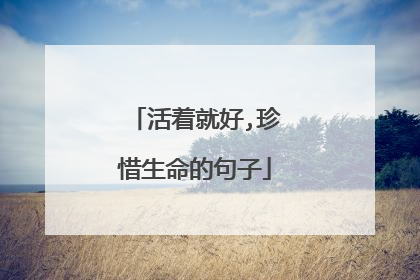 活着就好,珍惜生命的句子