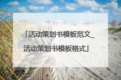 活动策划书模板范文_活动策划书模板格式
