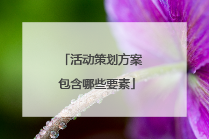 活动策划方案包含哪些要素