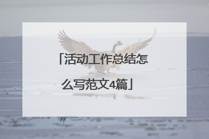 活动工作总结怎么写范文4篇