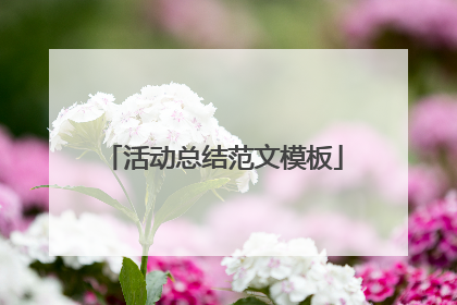活动总结范文模板