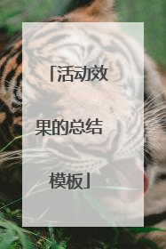 活动效果的总结模板