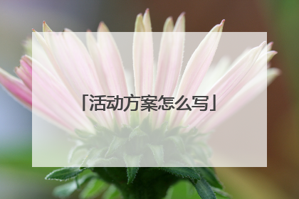 活动方案怎么写