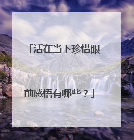 活在当下珍惜眼前感悟有哪些？