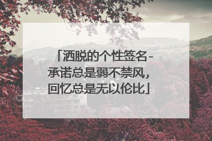 洒脱的个性签名-承诺总是弱不禁风,回忆总是无以伦比
