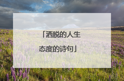 洒脱的人生态度的诗句