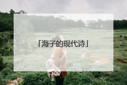 海子的现代诗