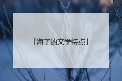 海子的文学特点