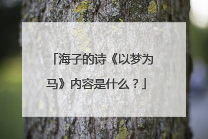 海子的诗《以梦为马》内容是什么?