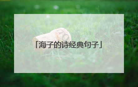 海子的诗经典句子