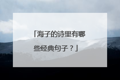 海子的诗里有哪些经典句子?