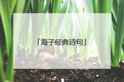 海子经典诗句